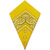 Paisley bandana head scarf